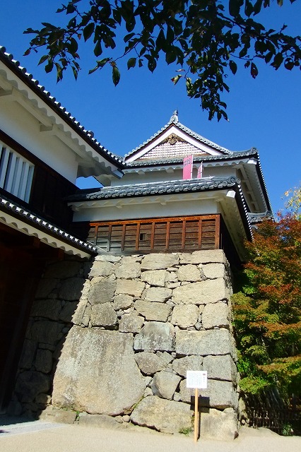 d0131847_15491361.jpg