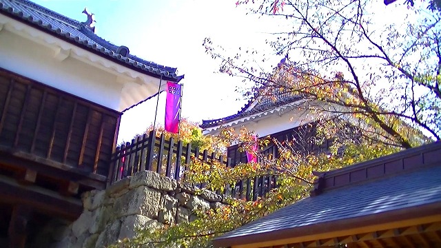 d0131847_17062545.jpg