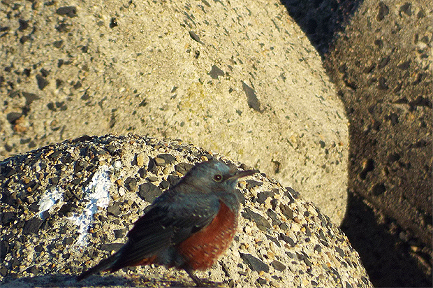 f0214649_5341034.jpg