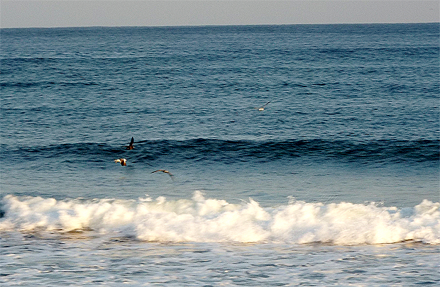 f0214649_5343732.jpg