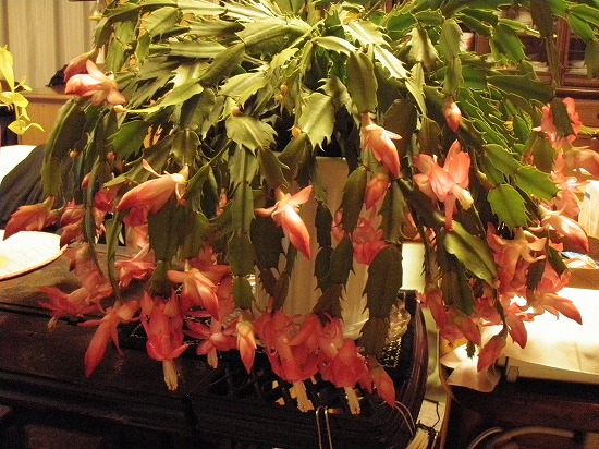 c0327752_09514775.jpg