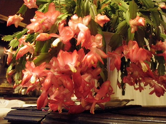 c0327752_09524182.jpg