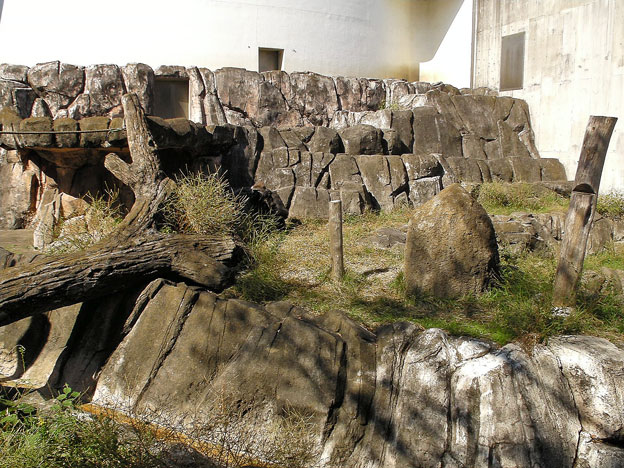 e0294253_23230710.jpg
