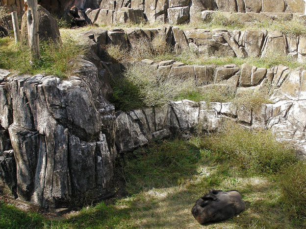 e0294253_23242565.jpg