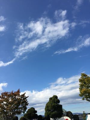 e0302455_12275358.jpg