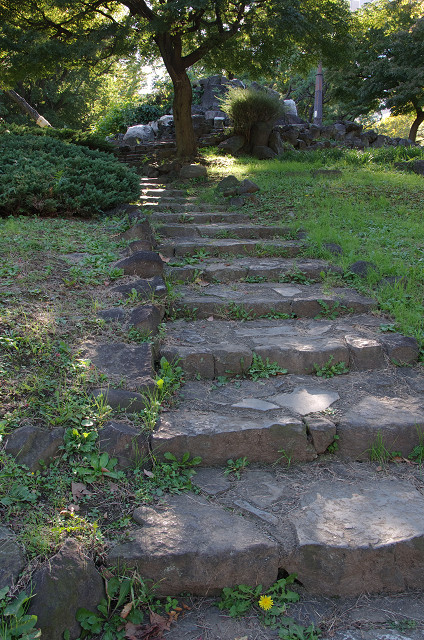 c0080357_1953664.jpg