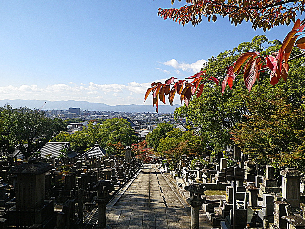 f0156359_17532571.jpg