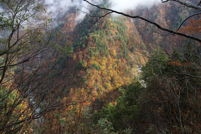 f0223068_1315102.jpg