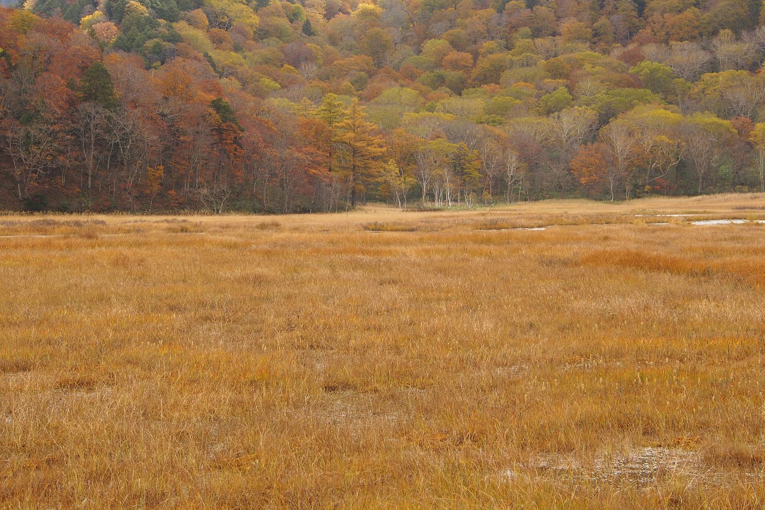 e0307372_21304423.jpg