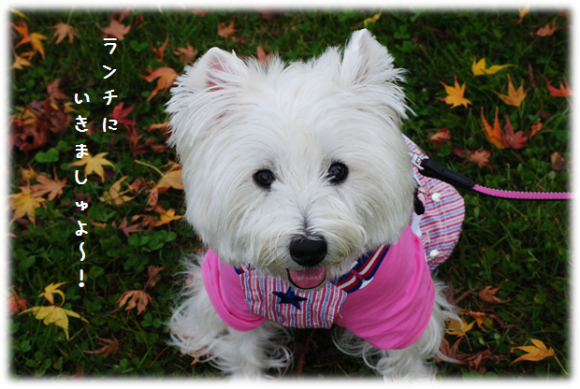 b0242873_01401745.png
