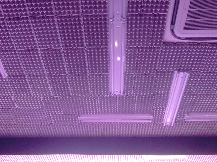f0238779_1038543.jpg
