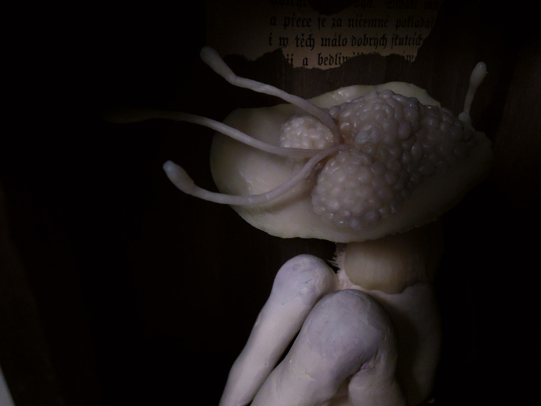 c0144381_094269.jpg