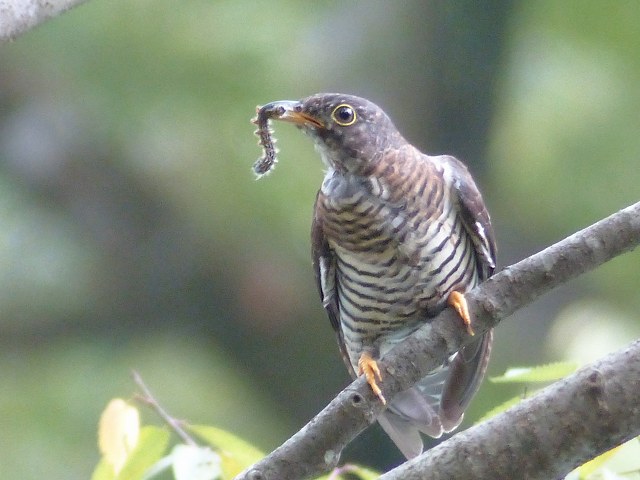 d0088184_23292551.jpg