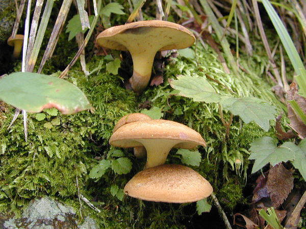 d0212491_233748100.jpg