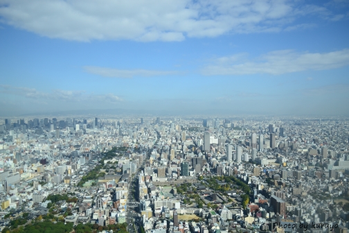 c0239392_16402527.jpg