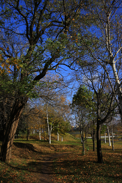 f0001895_16464966.jpg