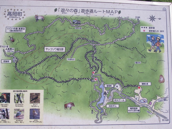 a0166196_1038760.jpg
