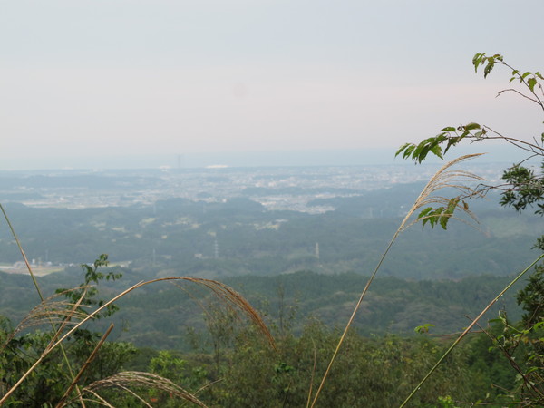 a0166196_10593529.jpg