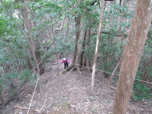 a0166196_1141730.jpg