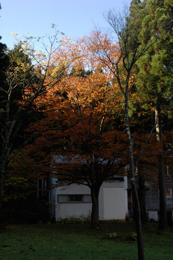 a0061599_81297.jpg