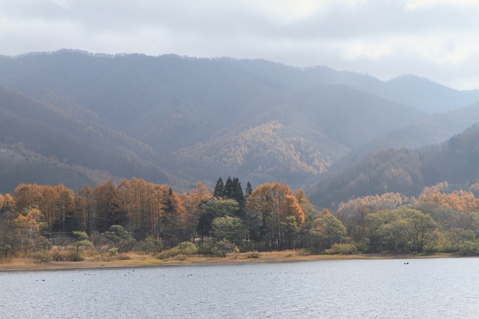 f0034602_21292967.jpg