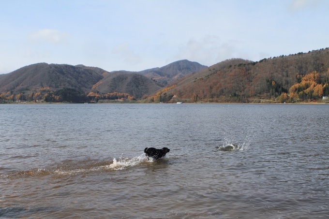 f0034602_21315846.jpg