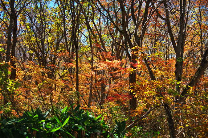 a0263109_221214.jpg