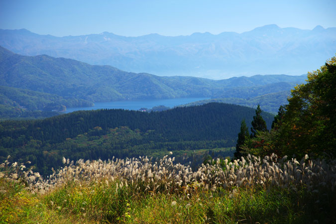 a0263109_2223266.jpg