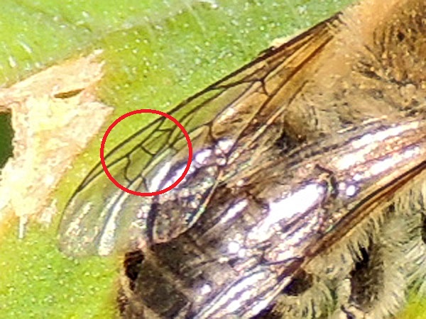 b0033112_2136264.jpg