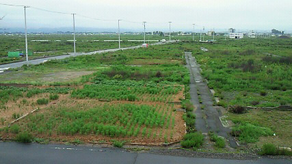 e0139312_17413914.jpg