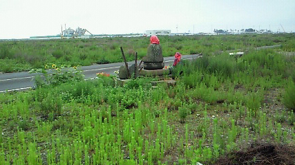 e0139312_17545217.jpg