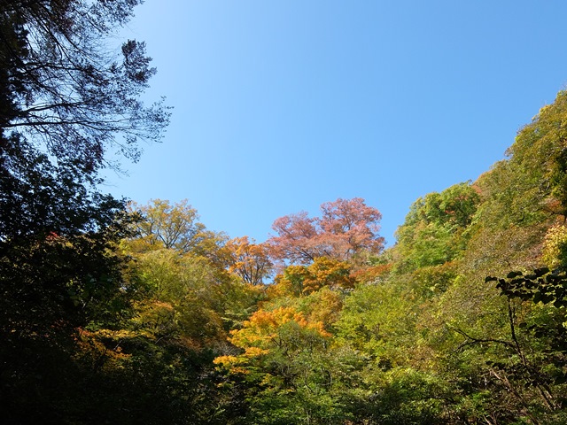 b0207615_21555078.jpg