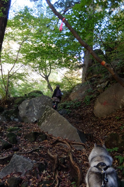 b0207615_21560344.jpg