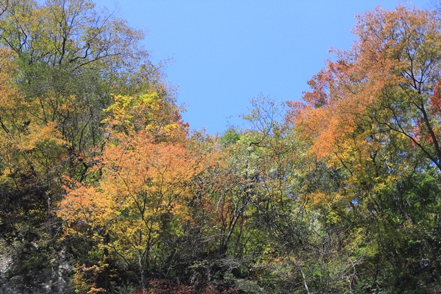 b0207615_21581723.jpg