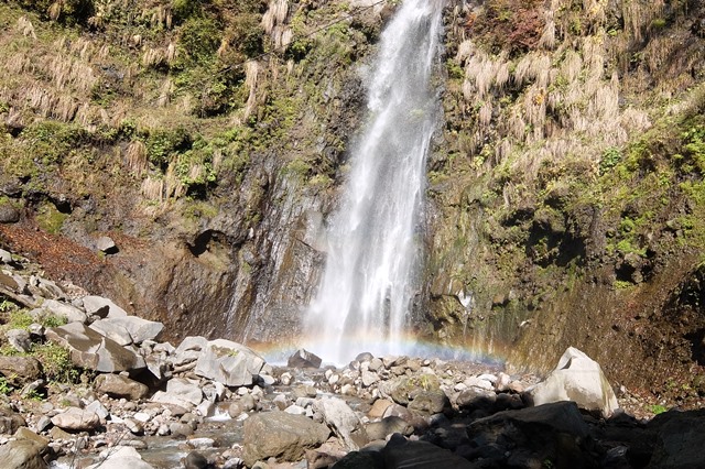 b0207615_21582434.jpg