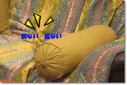 b0167519_20343834.gif