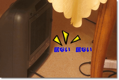 b0167519_20345165.gif