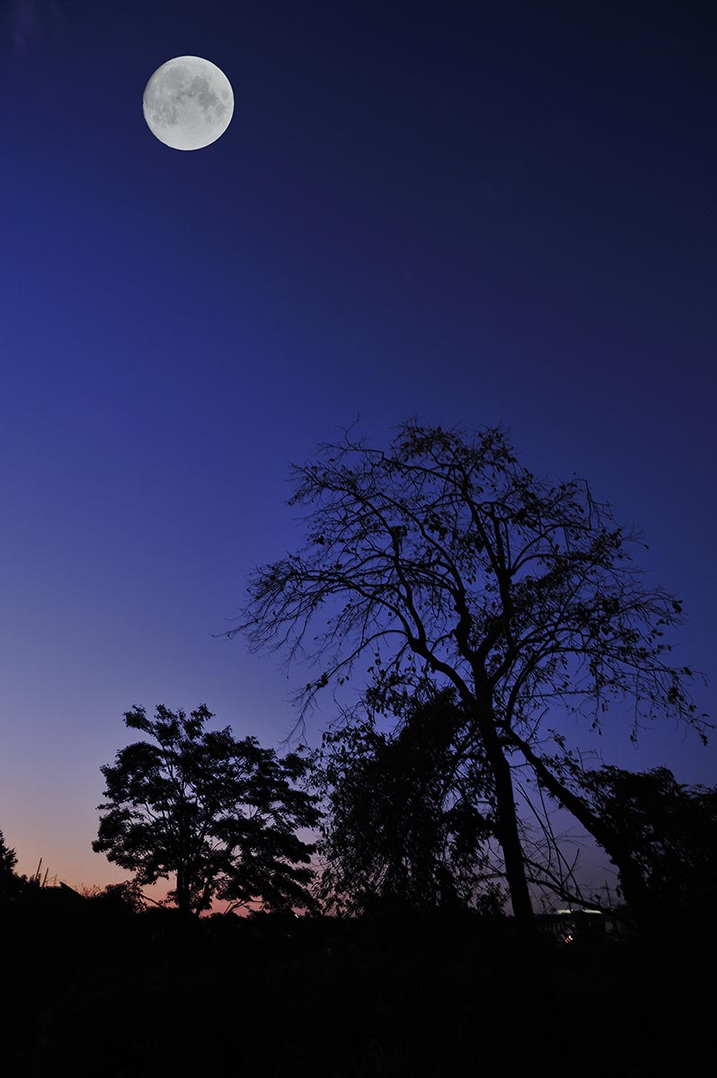 a0059621_23150711.jpg