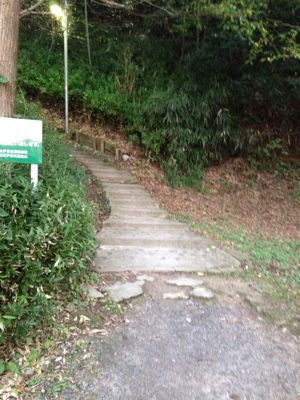 b0203925_1534289.jpg