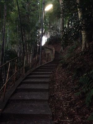 b0203925_1534377.jpg