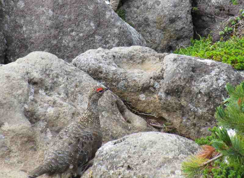 f0100825_21134296.jpg