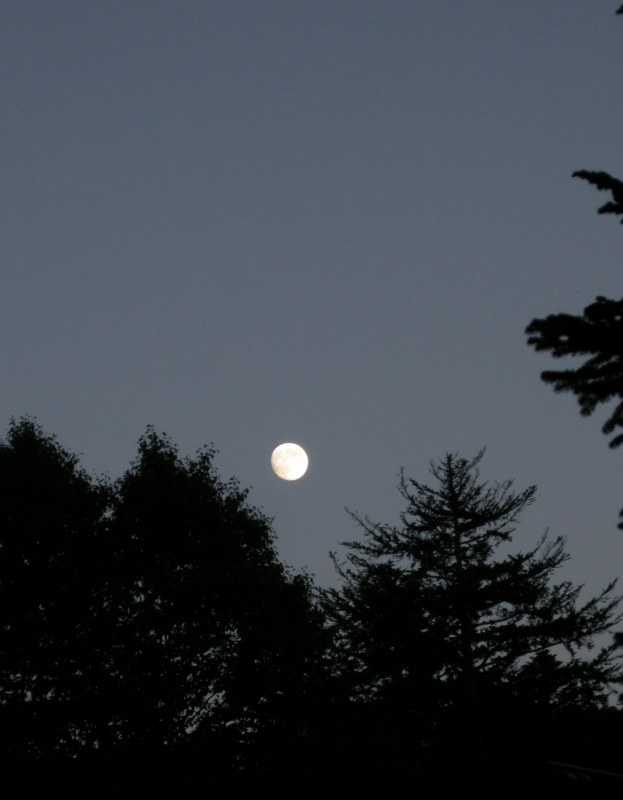 f0100825_21203985.jpg