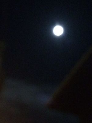 c0201427_21162344.jpg