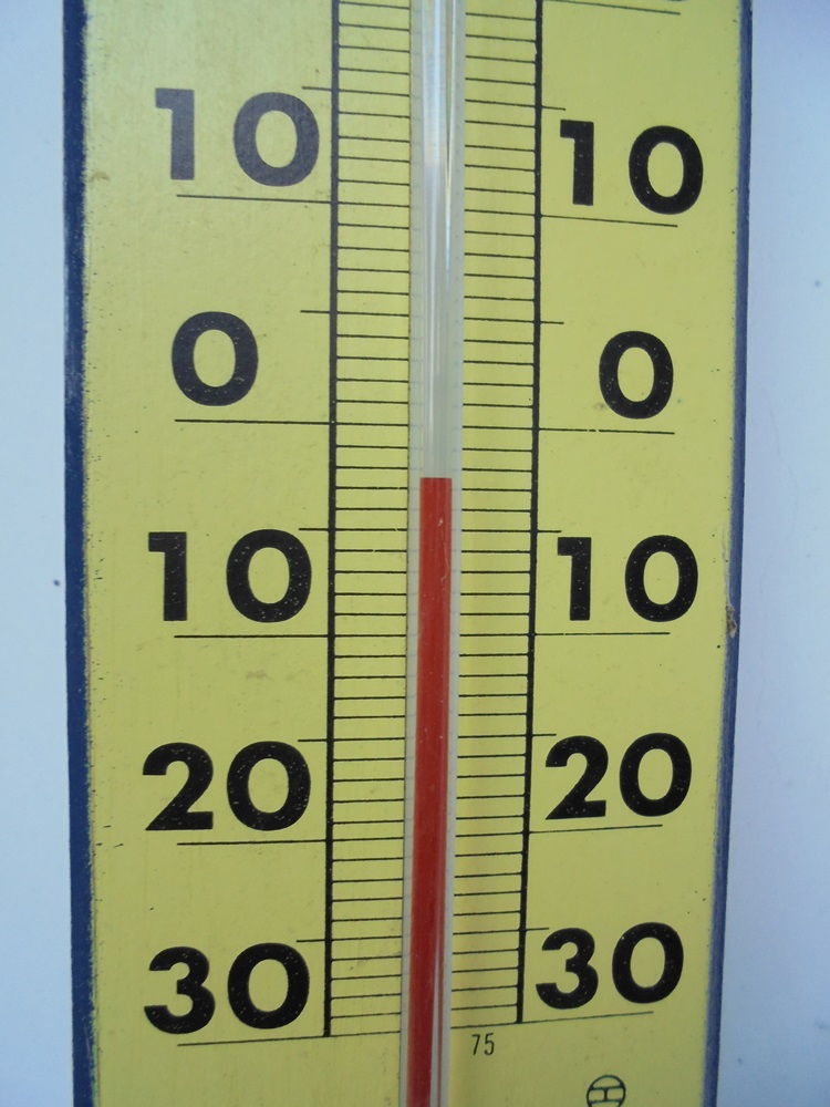 c0111229_17253618.jpg