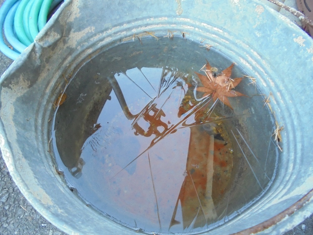 c0111229_172544100.jpg