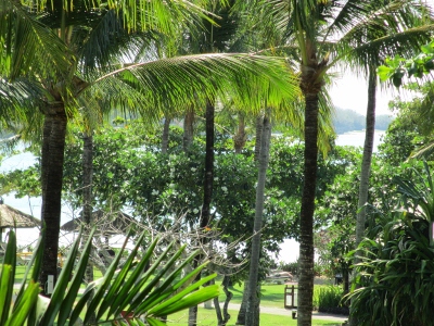 b0277237_15122613.jpg