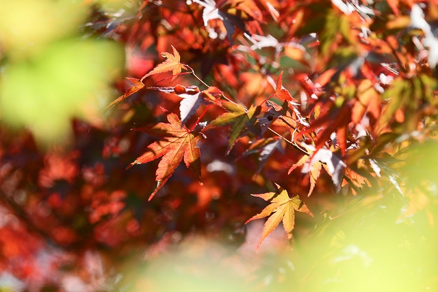 a0242438_2082479.jpg