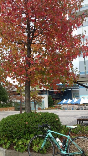 b0076739_23425444.jpg