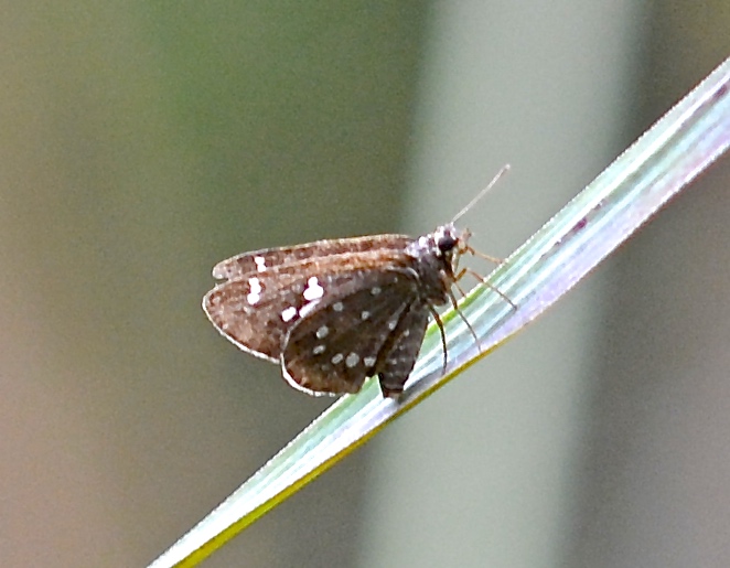 d0285540_230286.jpg