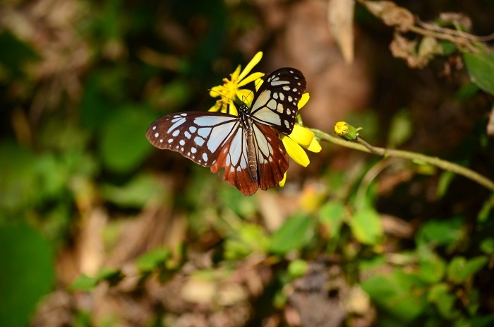 b0288942_18495964.jpg